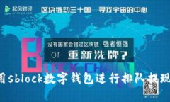如何高效利用sblock数字钱包进行排队提现：全方
