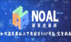 如何在苹果版上下载安装BitP钱包：完整指南