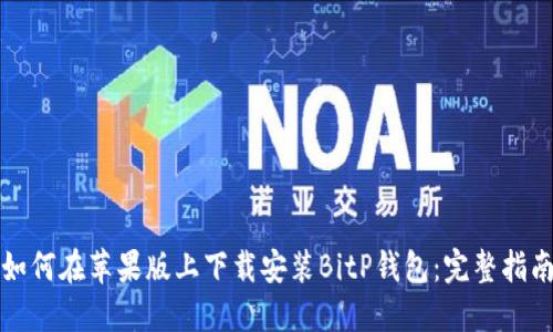 如何在苹果版上下载安装BitP钱包：完整指南