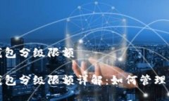 数字人民币钱包分级限额数字人民币钱包分级限