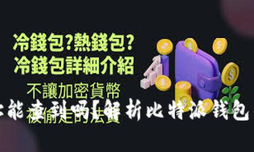 比特派钱包地址能查到吗？解析比特派钱包的隐私与安全性