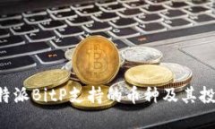 探索B特派BitP支持的币种及其投资潜力