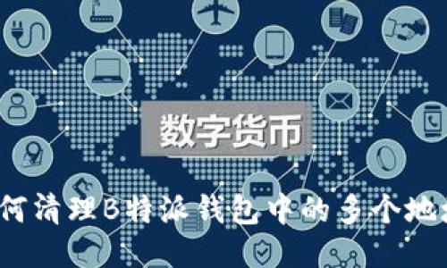 如何清理B特派钱包中的多个地址？