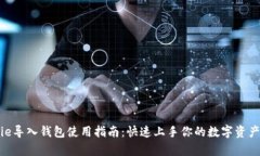 Bitpie导入钱包使用指南：快速上手你的数字资产
