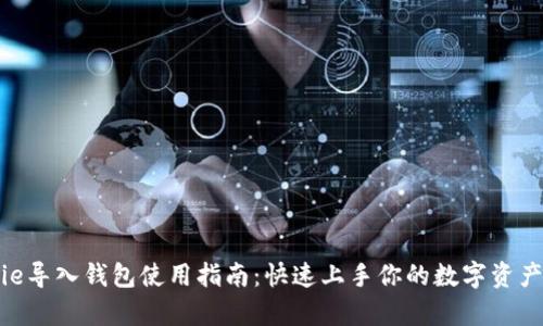 Bitpie导入钱包使用指南：快速上手你的数字资产管理