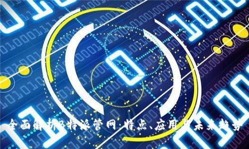 全面解析B特派管网：特点、应用与未来趋势
