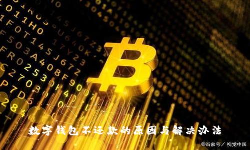 数字钱包不还款的原因与解决办法