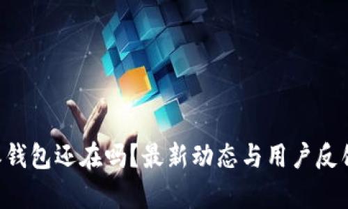 B特派钱包还在吗？最新动态与用户反馈分析