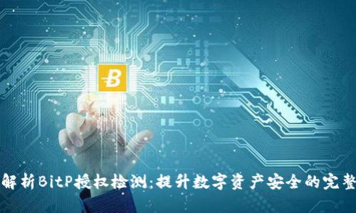 全面解析BitP授权检测：提升数字资产安全的完整指南
