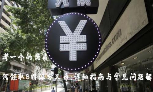 思考一个的优质

如何领取B特派分叉币：详细指南与常见问题解答