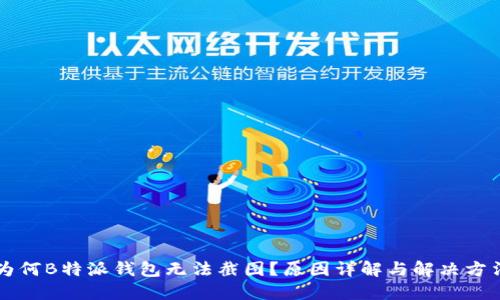 为何B特派钱包无法截图？原因详解与解决方法