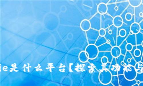 Bitpie是什么平台？探索其功能与优势