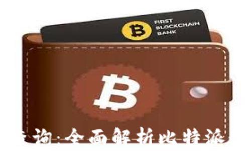 
比特派最新记录查询：全面解析比特派数字资产管理平台