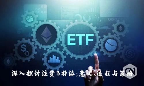 深入探讨注资B特派：意义、过程与策略
