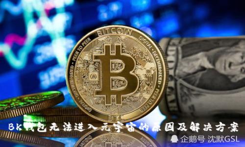BK钱包无法进入元宇宙的原因及解决方案