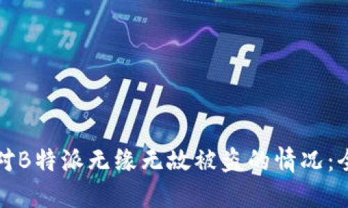 如何应对B特派无缘无故被盗的情况：全面指南