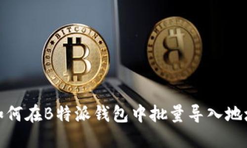 如何在B特派钱包中批量导入地址