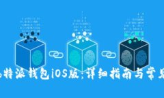 如何安装b特派钱包iOS版：详细指南与常见问题解