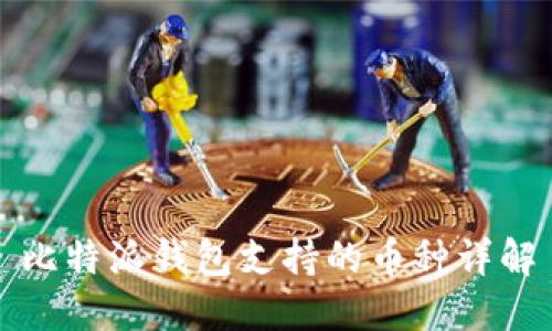 比特派钱包支持的币种详解