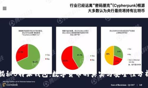 揭秘B特派钱包：数字货币的真实与安全性分析