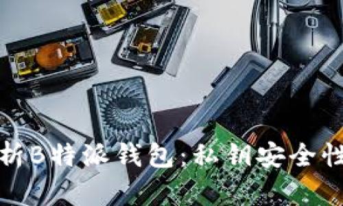 深度解析B特派钱包：私钥安全性的探讨