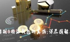 如何辨别B特派钱包的真伪：详尽图解与方法