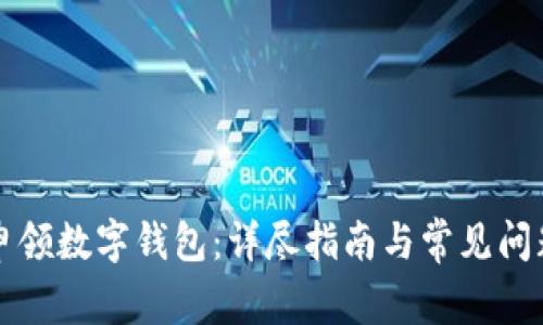 怎样申领数字钱包：详尽指南与常见问题解答