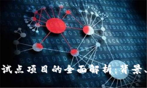 安徽省数字钱包试点项目的全面解析：背景、现状与发展前景