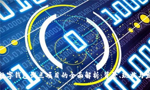 安徽省数字钱包试点项目的全面解析：背景、现状与发展前景