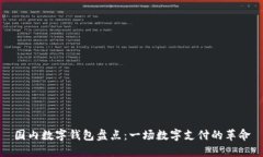 国内数字钱包盘点：一场数字支付的革命
