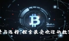 数字钱包的前景与选择：探索最受欢迎的数字钱