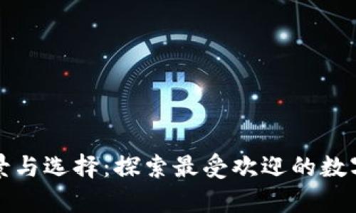 数字钱包的前景与选择：探索最受欢迎的数字钱包及其功能