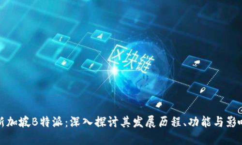 新加坡B特派：深入探讨其发展历程、功能与影响