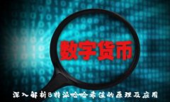   深入解析B特派哈哈希值的原理及应用
