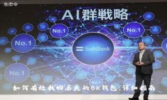 如何有效找回丢失的BK钱包：详细指南