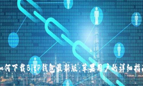 如何下载BitP钱包最新版：苹果用户的详细指南