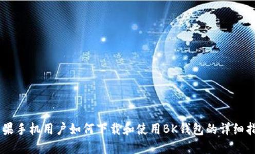 苹果手机用户如何下载和使用BK钱包的详细指南