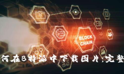 : 如何在B特派中下载图片：完整指南