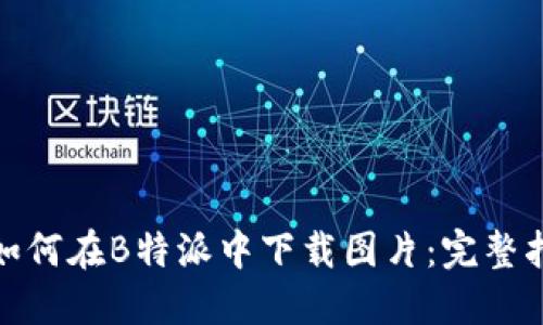 : 如何在B特派中下载图片：完整指南
