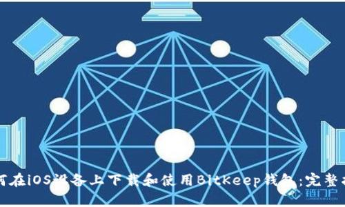 如何在iOS设备上下载和使用BitKeep钱包：完整指南