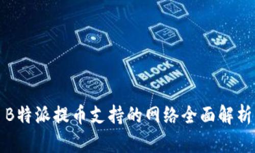 B特派提币支持的网络全面解析