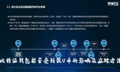 比特派钱包能否受到假U币的影响及应对方法