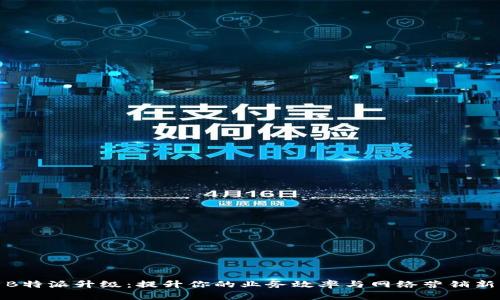 探索B特派升级：提升你的业务效率与网络营销新策略