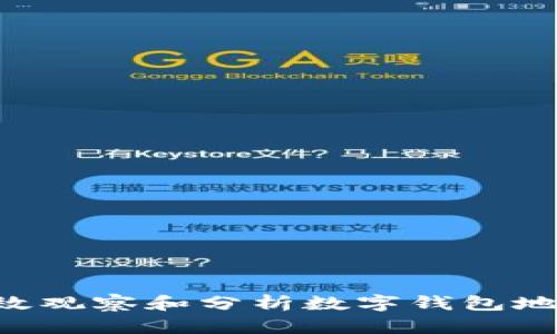 优质如何有效观察和分析数字钱包地址：完全指南