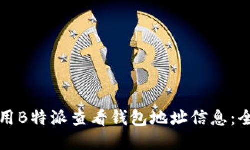 如何使用B特派查看钱包地址信息：全面指南