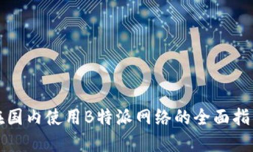 在国内使用B特派网络的全面指南