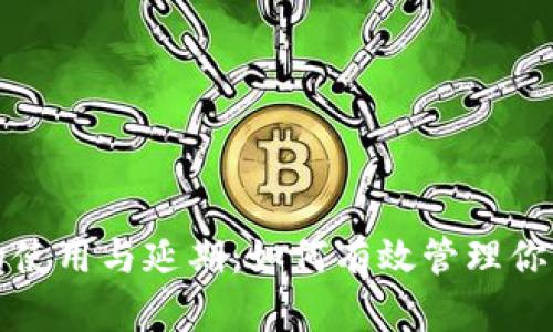数字钱包的使用与延期：如何有效管理你的数字资产