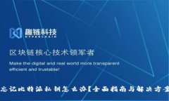 忘记比特派私钥怎么办？全面指南与解决方案