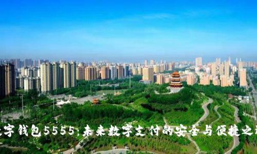 数字钱包5555：未来数字支付的安全与便捷之选