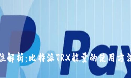 : 全方位解析：比特派TRX能量的使用方法与技巧